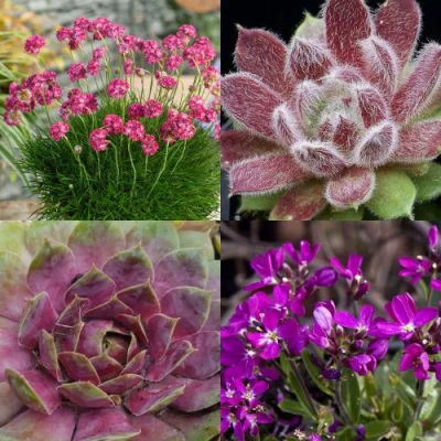 Комплект МИНИ САД в Истре