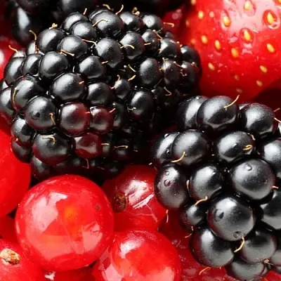 Ежевика  Ежевика в Истре