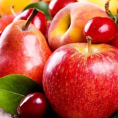 Плодовые деревья в Истре