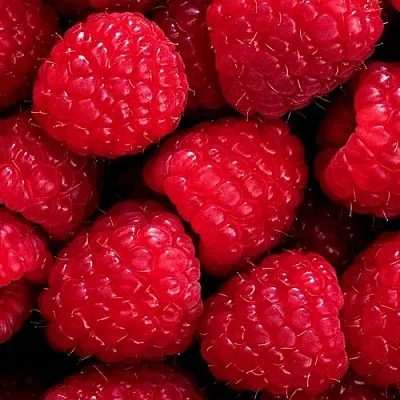 Малина  Малина в Истре