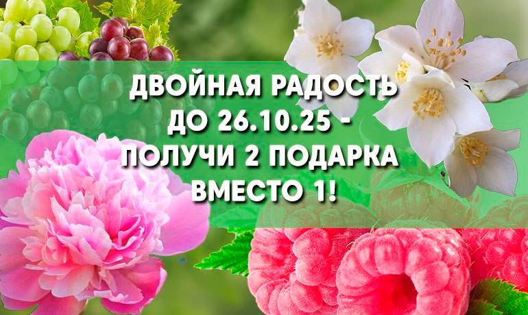 Двойная радость! До 22.10 — 2 подарка вместо 1