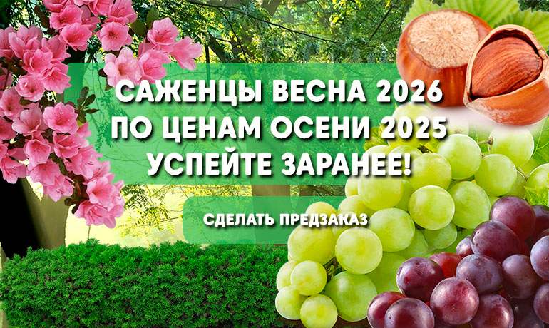 Заказы на весну 2026 по ценам осени 2025 — только до 20 декабря
