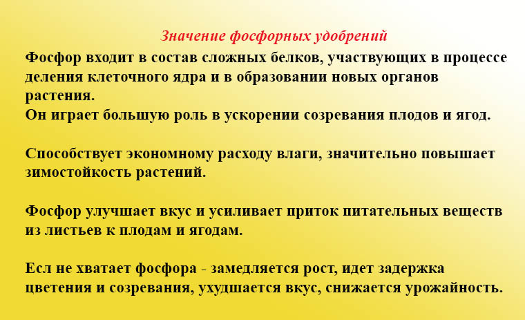 фосфорные удобрения.jpg